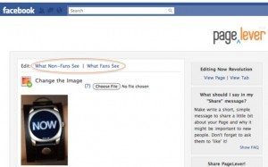 pagelever 300x187 5 Staggeringly Simple Ways to Create Custom Facebook Landing Tabs