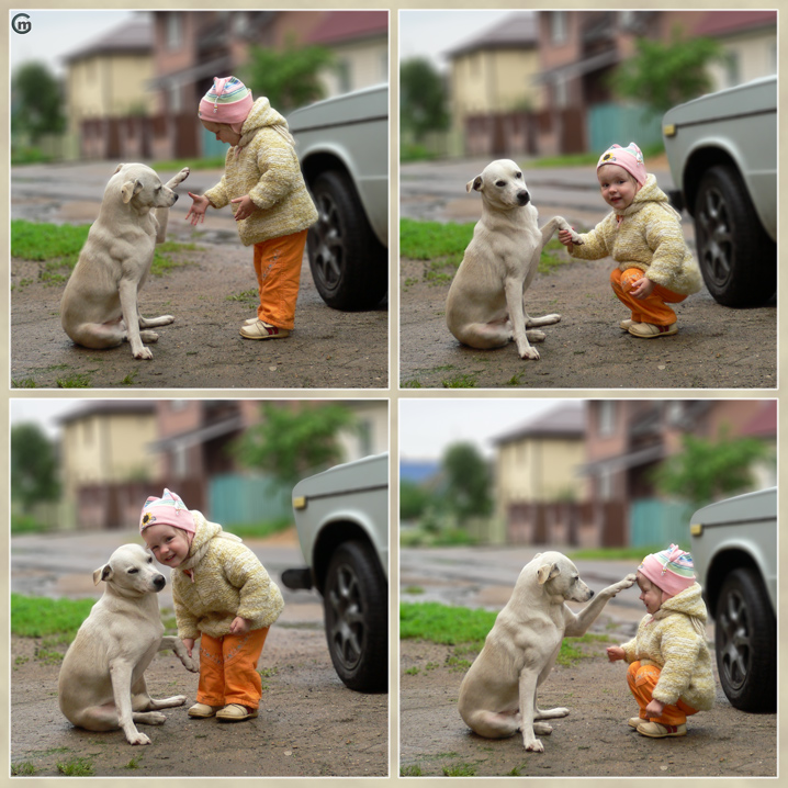 Dog and Child