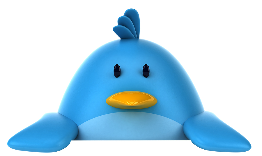 Twitter blue bird API bigstock Blue bird 32532494 Social Pros 30 Eric Schwartzman, Social Media Boot Camp