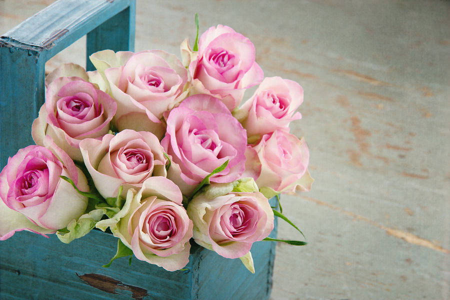 How PassionRoses Reached Out to the Right Celebrity at the Right Time