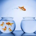 4 Questions CEOs Wish Marketing Could Answer – Without Having to Ask