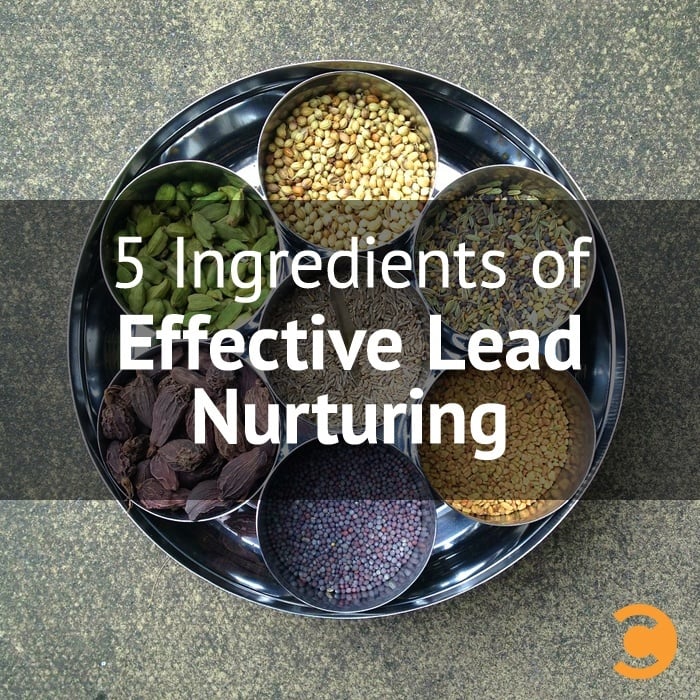 5 Ingredients of Effective Lead Nurturing