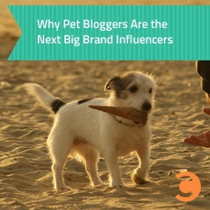 Why Pet Bloggers Are the Next Big Brand Influencers