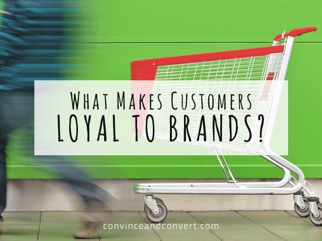 What Makes Customers Loyal to Brands