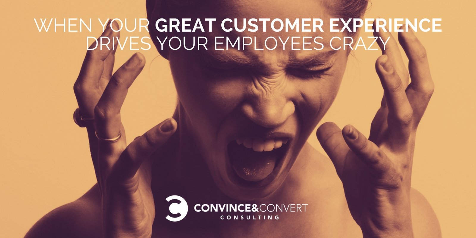 When Your Great Customer Experience Drives Your Employees Crazy
