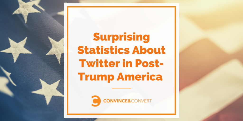 Twitter Statistics (2021)