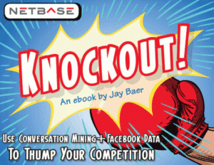 Knockout Conversation Mining eBook