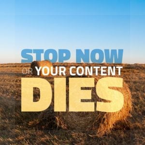 STOP Now or Your Content Dies