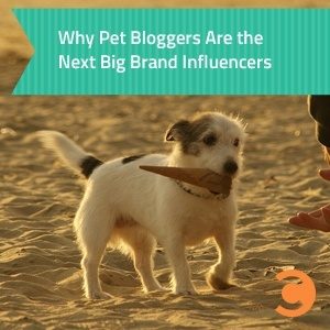 Why Pet Bloggers Are the Next Big Brand Influencers