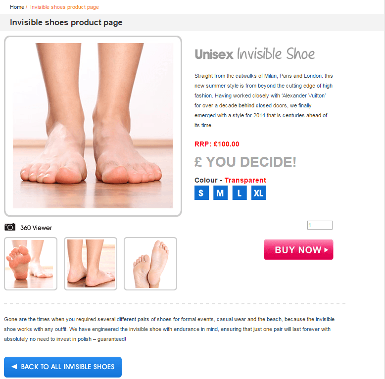 Invisible Shoes