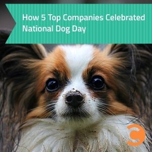 How 5 Top Companies Celebrated National Dog Day
