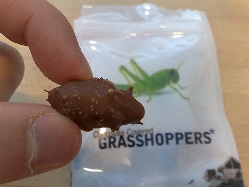 chocolategrasshoppers