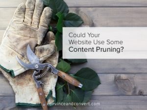 Could Your Website Use Some Content Pruning