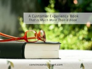 A Customer Experience Book That Is Much More Than a Book