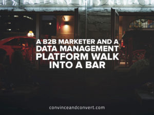 A B2B Marketer and a Data Management Platform Walk Into a Bar