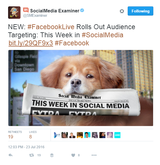 social_media_examiner_is_doing_it_wrong