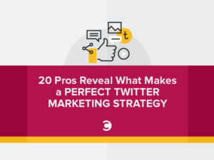 20 Pros Reveal What Makes a Perfect Twitter Marketing Strategy