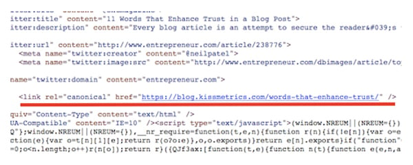 canonical code for reposting blog content safely
