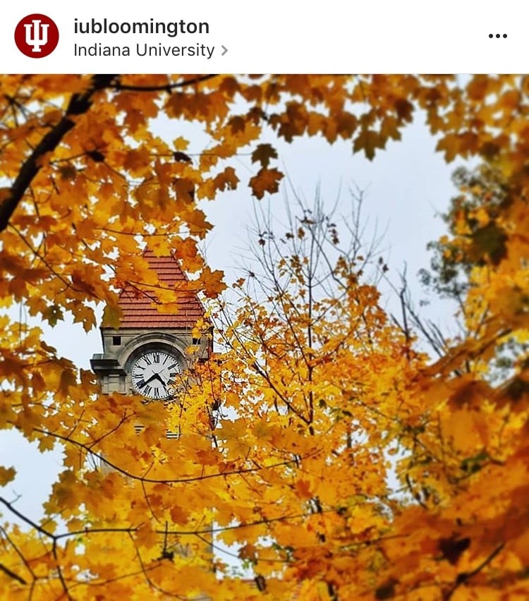 Indiana University autumn leaves Instagram post
