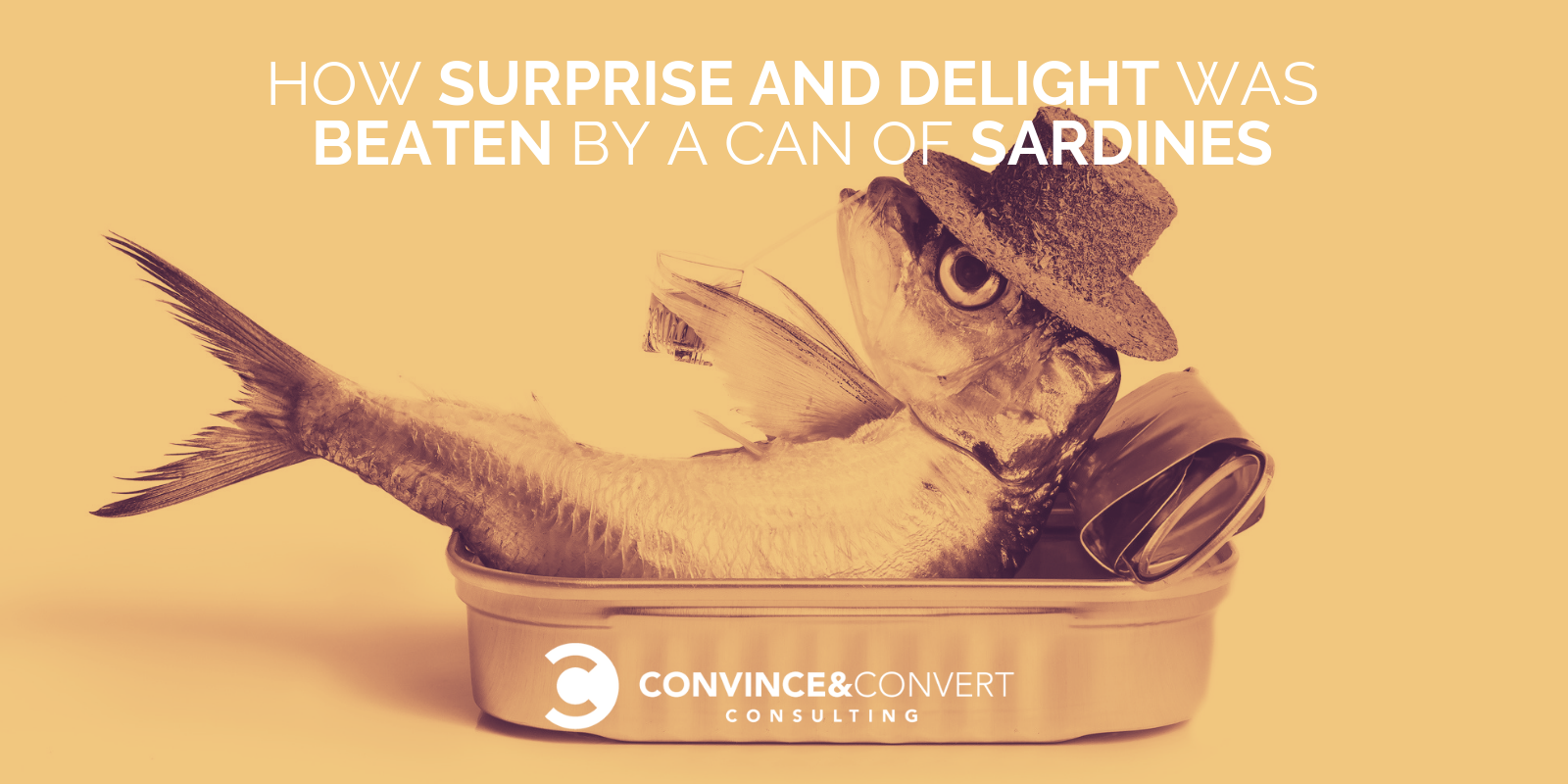 how surprise and delight was beaten by a can of sardines
