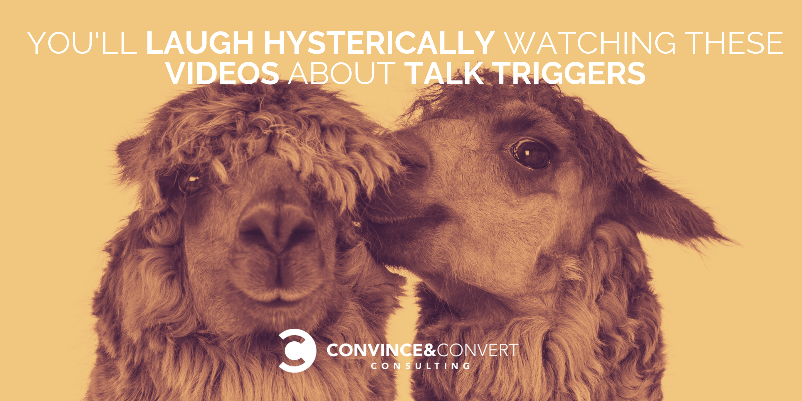 talk triggers videos