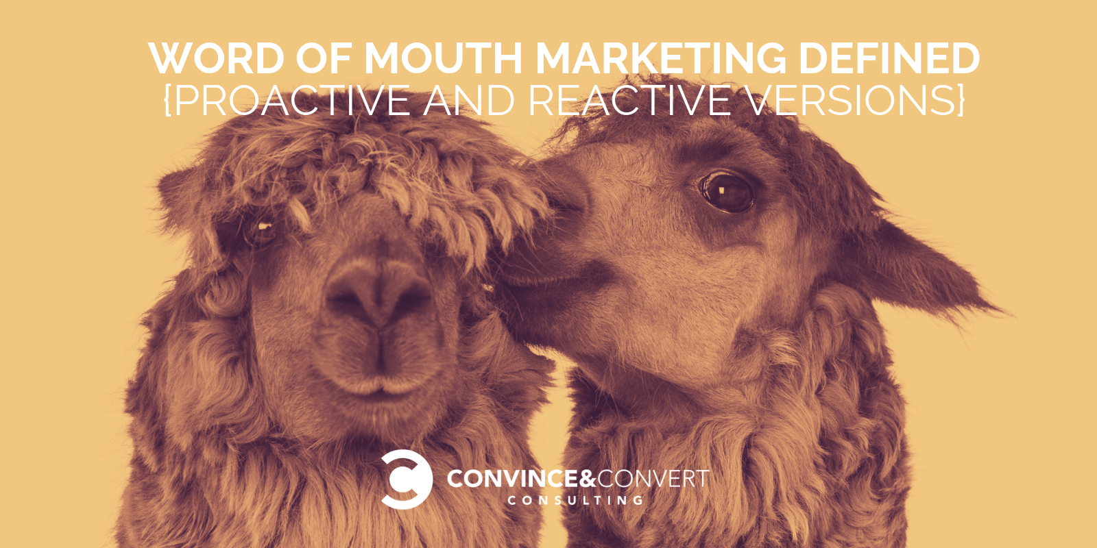 Word of Mouth Marketing Defined