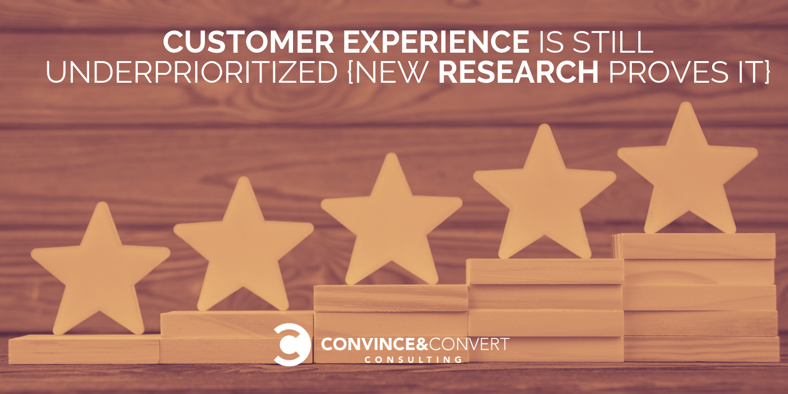 Customer Experience Research