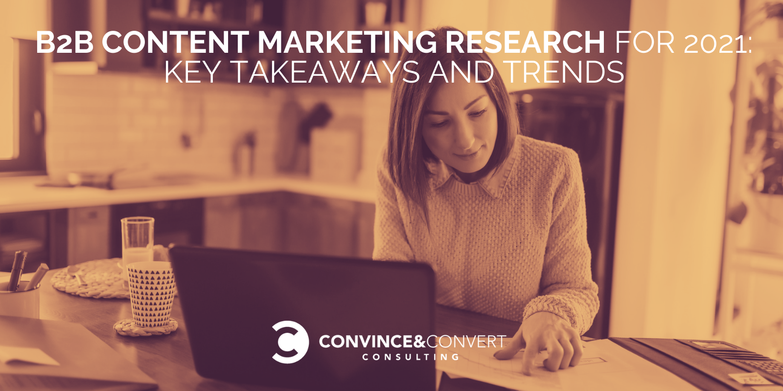 B2B Content Marketing Research