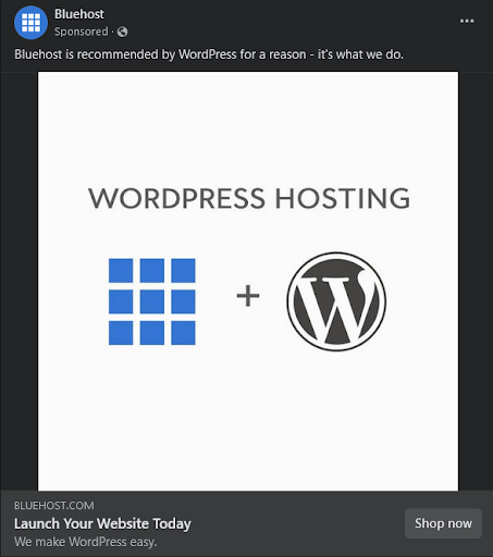 Blue Host Image Ad Example