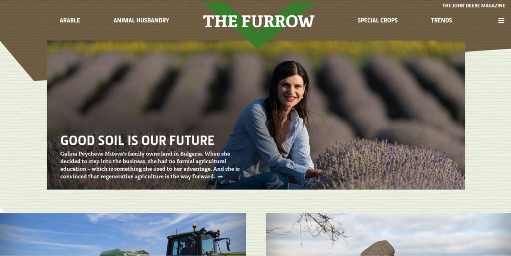 The furrow