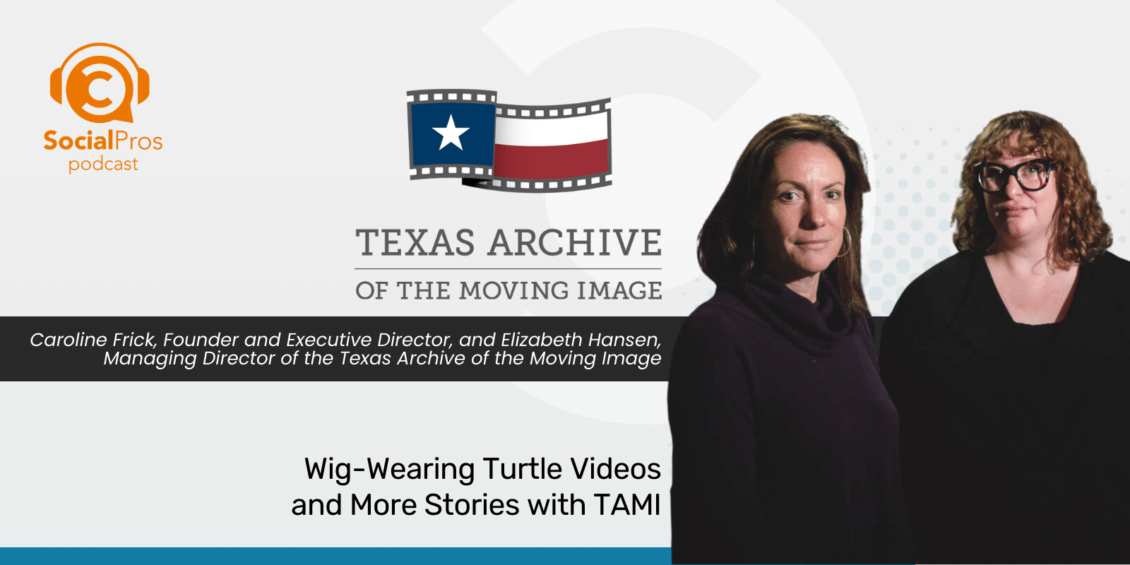 Wig-Wearing Turtle Videos and More Stories with TAMI