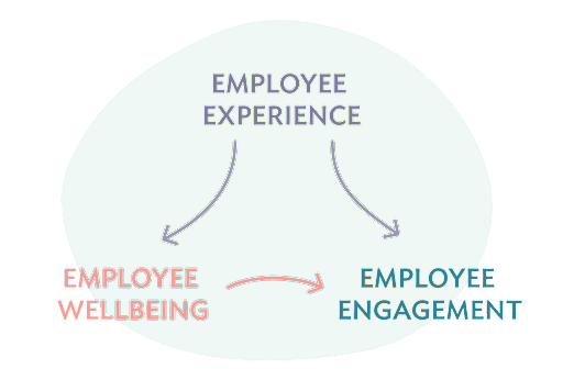 employee engagement and employee experience