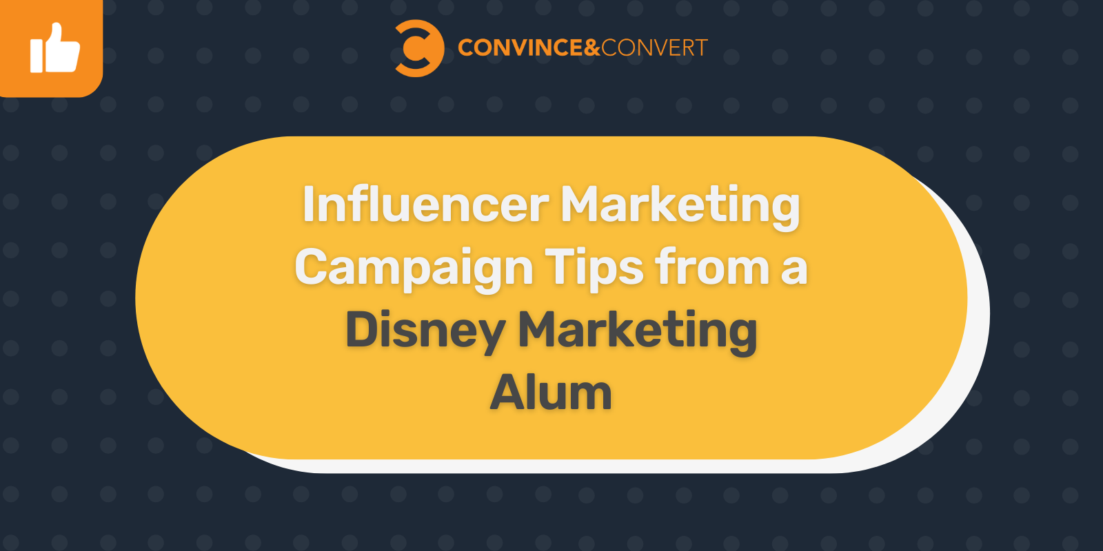 Influencer Advertising and marketing Marketing campaign Suggestions from a Disney Advertising and marketing Alum | Digital Noch