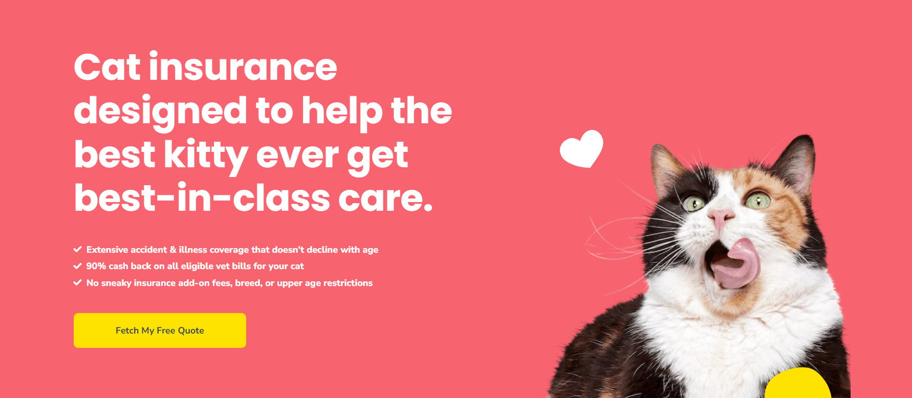 Ad from Pumpkin Pet Insurance that features a Calico cat. It is accompanied with text saying "Cat insurance designed to help the best kitty ever get best-in-class care." This ad promotes the idea that Pumpkin Pet Insurance doesn't discriminate against different cat breeds. 