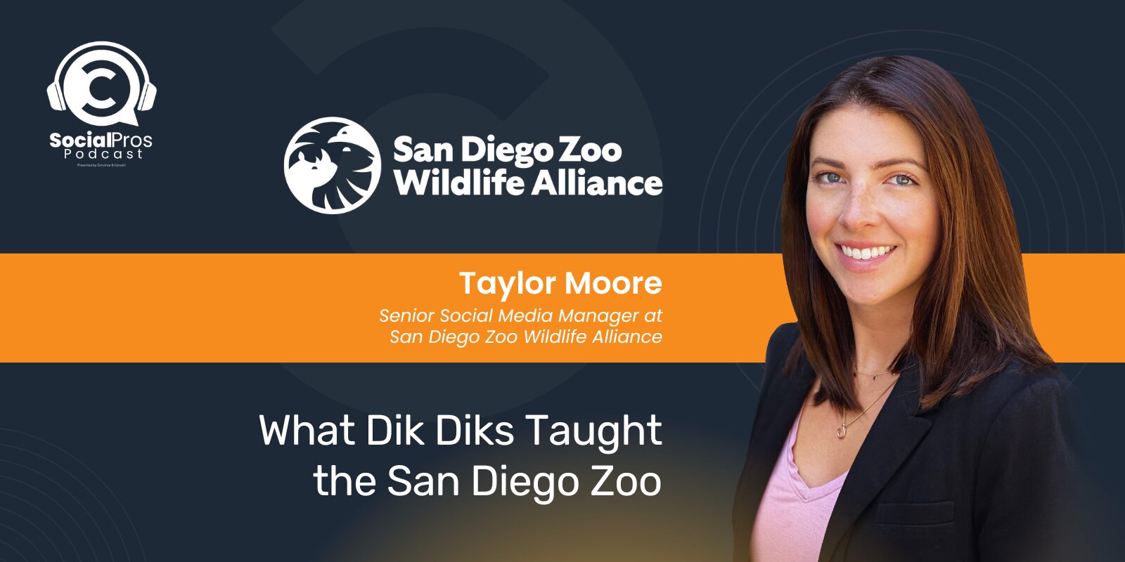 What Dik Dik’s Taught the San Diego Zoo