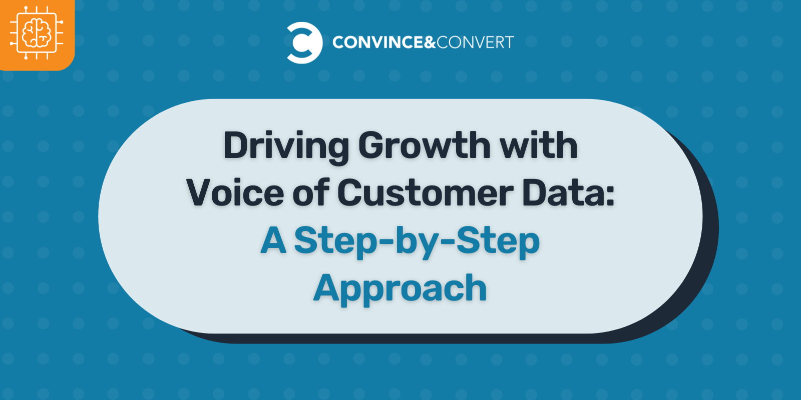 Driving Growth with Voice of Customer Data CTA