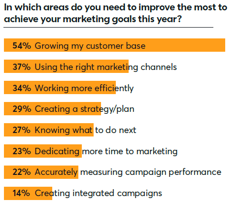 In which areas do you need to improve the most to achieve your marketing goals this year