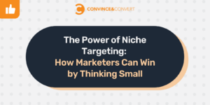 Convince and Convert logo and infographic reading "The Power of Niche Targeting: How Marketers Can Win by Thinking Small"